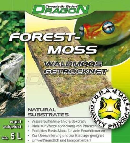 Waldmoos, Natur, getrocknet, 100g